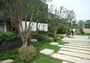 園林綠化工程施工技術(shù)規(guī)范大全 萬字長(zhǎng)文