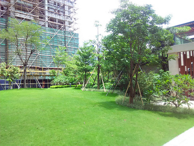 石龍景觀工程公司服務(wù)公司評價_佛嶺景觀