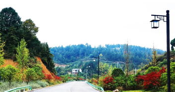 喜訊 | 人文園林榮獲2018年度杭州市優(yōu)秀園林綠化工程評(píng)比三金佳績