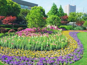 閑話園林綠化施工之三分種七分養(yǎng)